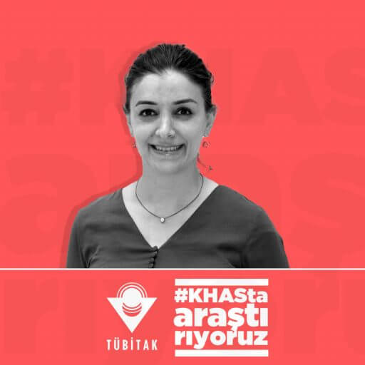 Factors Affecting The Innovation Performance of Turkish SMEs